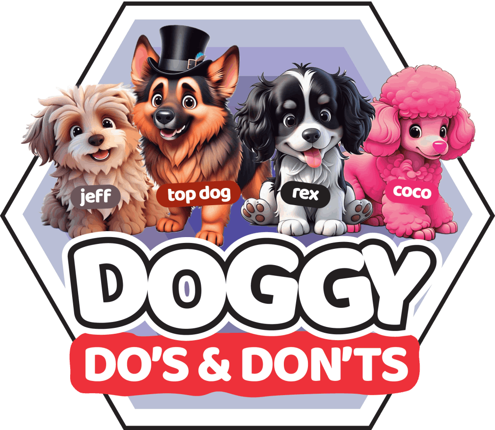 Adshop_Marketing_Organising_Graphic_Design_Creative_Copywriting_Printing