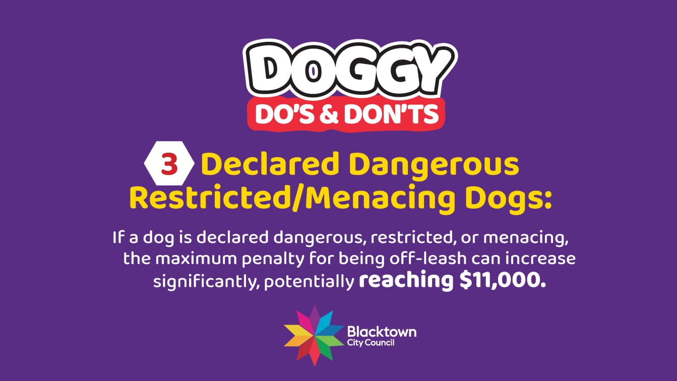 Adshop_Marketing_Organising_Graphic_Design_Creative_Copywriting_Printing